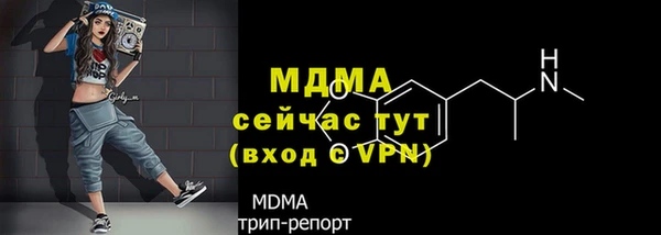 PSILOCYBIN Алзамай
