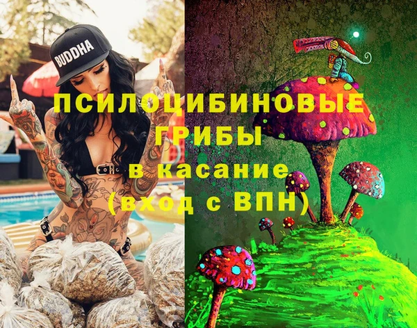 PSILOCYBIN Алзамай