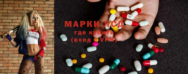 PSILOCYBIN Алзамай