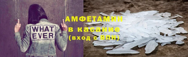 PSILOCYBIN Алзамай