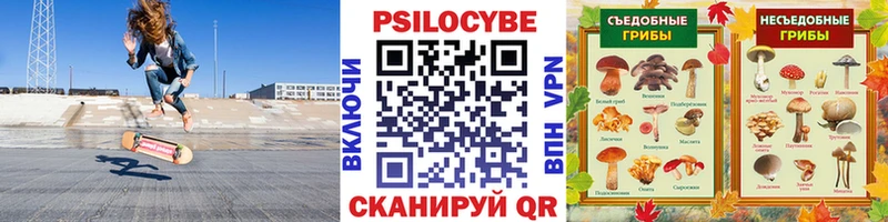 кракен маркетплейс  Железногорск-Илимский  Псилоцибиновые грибы GOLDEN TEACHER 