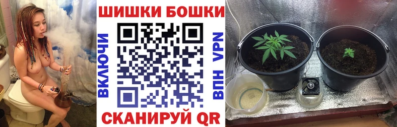 площадка телеграм Железногорск-Илимский Шишки марихуана ГИДРОПОН закладка